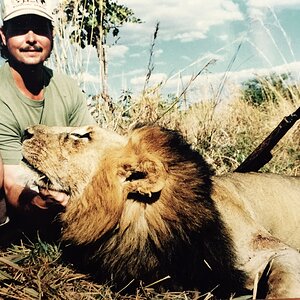 Lion Hunting Zambia