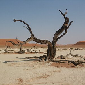 Deadvlei Namibia