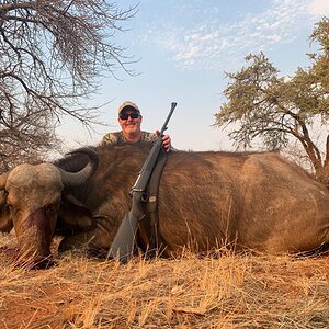 South Africa Hunting Buffalo