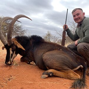 Hunt Cape Buffalo in South Africa