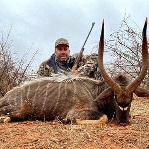 South Africa Hunting Nyala