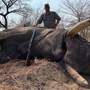 Elephant Hunting Namibia