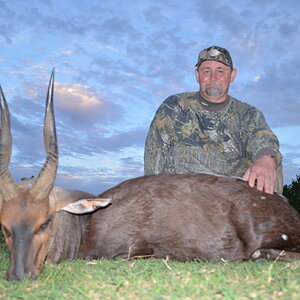 South Africa Hunting Bushbuck