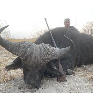 Caprivi Namibia Hunt Cape Buffalo