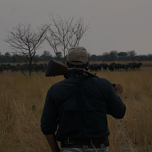 Hunting in the Caprivi Strip of Namibia