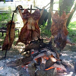 Typcial Argentinian asado