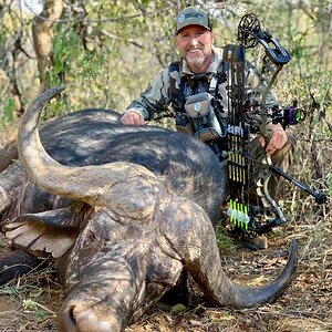 Bow Hunt Cape Buffalo in South Africa