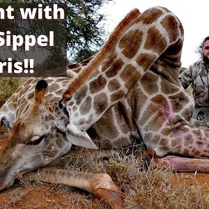 Bowhunting with Bayly Sippel Safaris