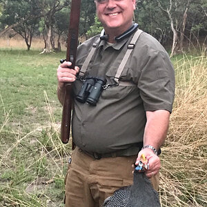 Zambia Hunt Guineafowl