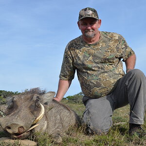 South Africa Hunt Warthog