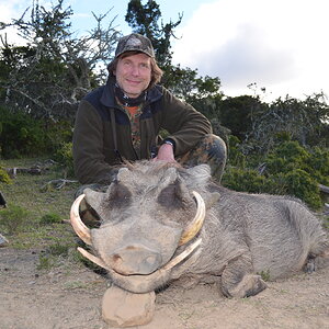 Warthog Hunt South Africa