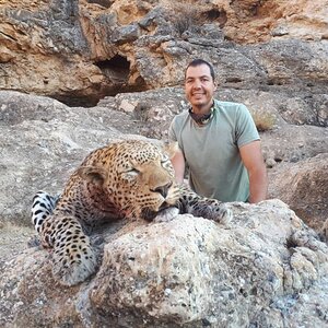 Hunt Leopard in Namibia