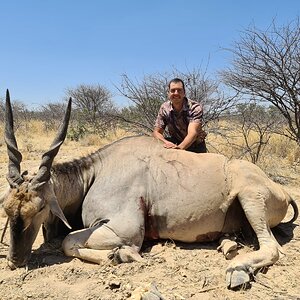 Eland Hunt Namibia