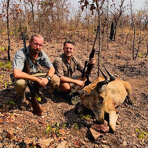 Hunt Lichtenstein's Hartebeest in Zambia