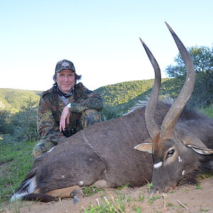 Nyala Hunting South Africa