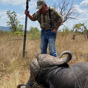 Tanzania Hunt Cape Buffalo