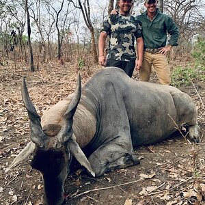 Hunt Eland in Tanzania