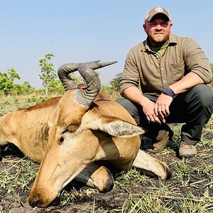 Tanzania Hunting Lichtenstein's Hartebeest