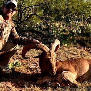 Hunting Aoudad in Texas USA