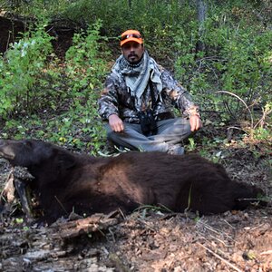 Black Bear Hunt USA