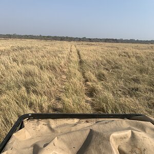 Hunting in Tanzania