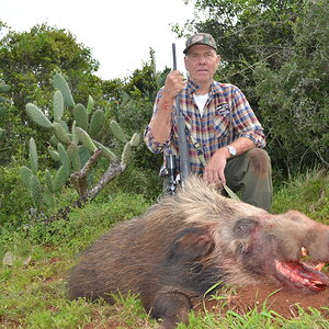 Hunting Bushpig in South Africa