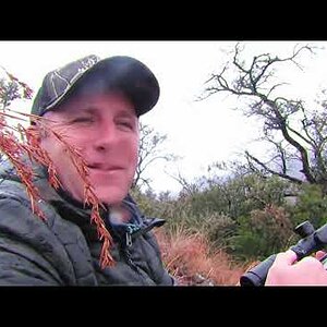 Rance Safaris Kudu Management Hunt - Long Range