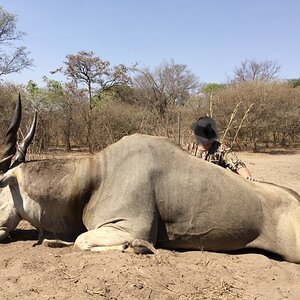 Hunt Eland in Namibia