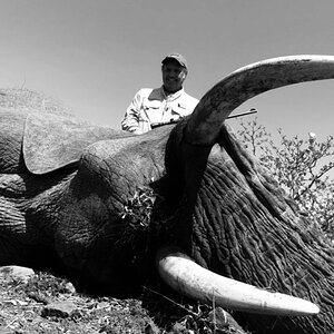 Hunt Elephant in Zimbabwe