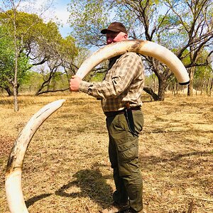 Elephant Hunting Zimbabwe