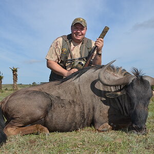 South Africa Hunting Blue Wildebeest