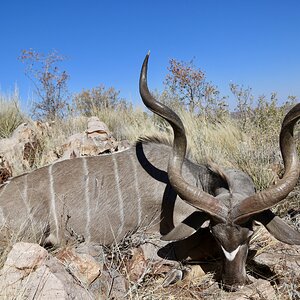 Kudu Guided by Zana Botes