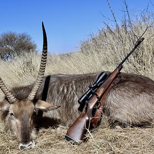 Waterbuck Guided by Zana Botes