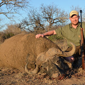 South Africa Hunt Cape Buffalo