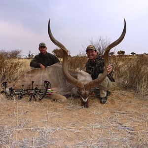 Bow Hunting Kudu in South Africa