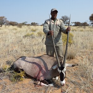 Gemsbok Hunt South Africa