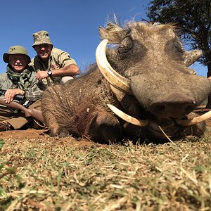 Hunting Warthog in South Africa