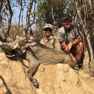 Zimbabwe Hunt Warthog