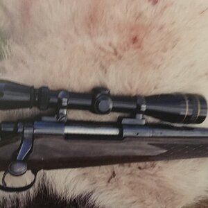 Remington 700 in .300 wm