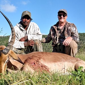 Impala Hunt South Africa