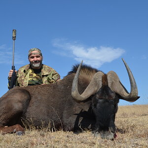 Hunt Black Wildebeest in South Africa