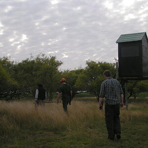 Bird Hunting Argentina