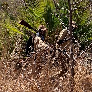 Tracking Game Zambia