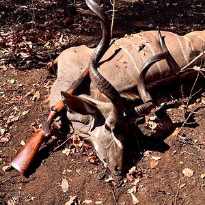 Hunting Kudu in Zambia