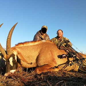 South Africa Bow Hunting Roan