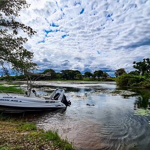 South Africa Fishing Tigerfish