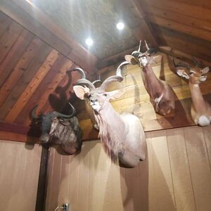 Trophy Room