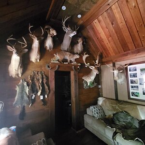 Trophy Room