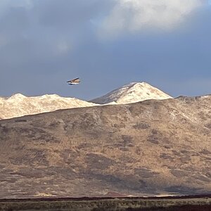 Alaska USA Hunt With Mileur’s Guide Service