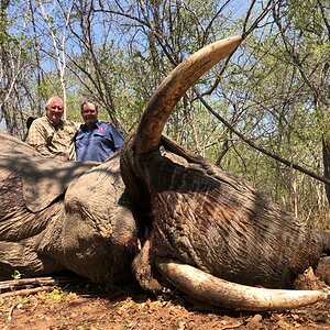 Zimbabwe Hunt Elephant